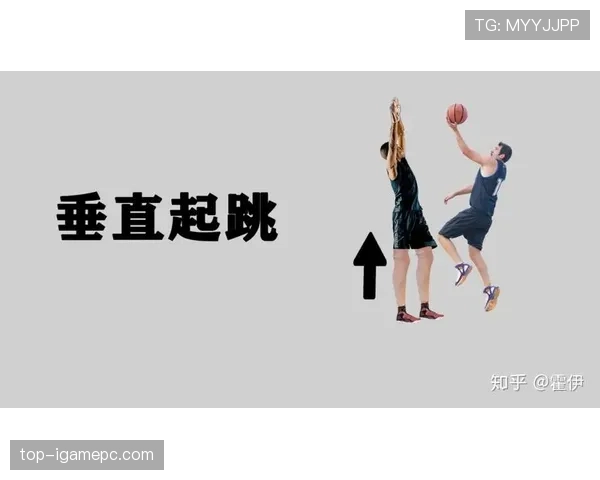 深度解析垂直起跳规则中防守合法位置与犯规判罚标准